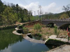 -无染寺