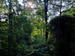 -黔灵山公园