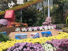 -南山植物园
