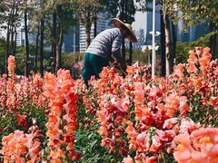 -海心沙亚运公园