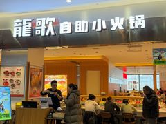 -龍歌自助小火锅(市南金茂湾店)