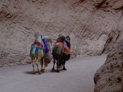 -天山神秘大峡谷