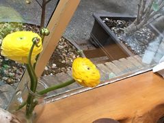 -天水蔬食料理(树德之光店)