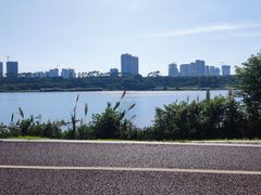-华侨城湿地公园