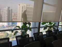 -谢冬律师团队·专注离婚案件·君澜律所