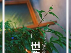 环境-春庄咖啡SpringHues(钟楼小区店)