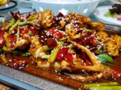 铁板鲜鱿-谢氏老金口(江夏武昌大道店)
