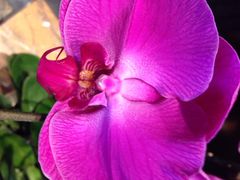 黔蘑菇四季餐厅(观山湖店)-黔蘑菇四季餐厅(观山湖店)