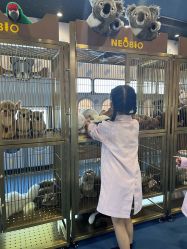 -奈尔宝·儿童乐园·亲子餐厅(鄞州万达店)