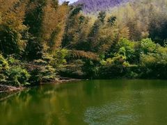 -北仑森林植物园