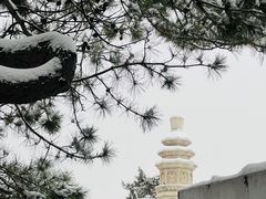 -颐和园