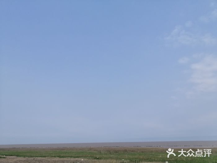 南汇嘴观海公园图片