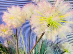 -粉墨特色菜·烧烤音乐酒馆
