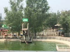 -北京鹿世界主题园