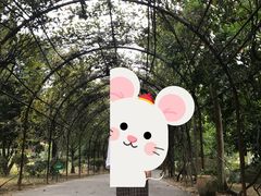 -森波拉火山温泉