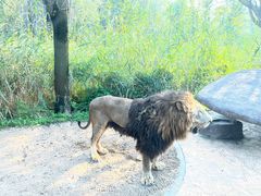 -北京野生动物园