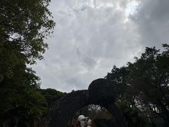 -王借岗森林公园