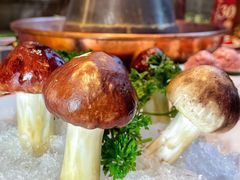 -南门四季铜锅涮肉(大屯·北苑店)