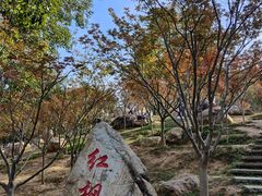 -广州市帽峰山景区