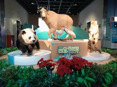 -陕西自然博物馆