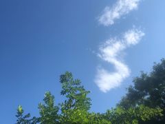 -中国政法大学(昌平校区)