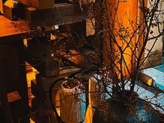 -天水蔬食料理(树德之光店)