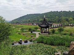 -龙寺生态园