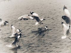 -青海湖国家重点风景名胜区售票处