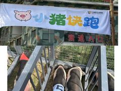 -栾川竹海野生动物园
