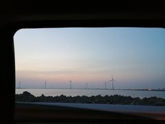 -南大港湿地风景区