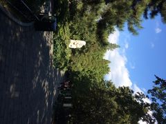 iphone_upload_pic-紫竹院公园冰场