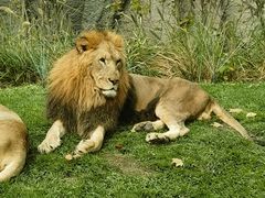 -北京野生动物园