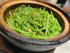 -金光华广场
