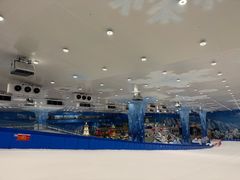 -湘江欢乐城欢乐雪域