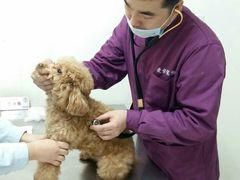 -爱侣宠医·鹦鹉专科·小型哺乳类·异宠专科(灵石路店)