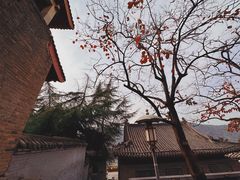 -龙门石窟