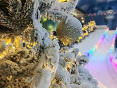 -世界之窗阿尔卑斯冰雪世界