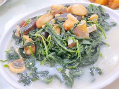上汤辣椒叶-腰记饭店(龙源路店)