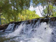 -长白岛森林公园