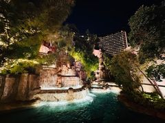 -拉斯维加斯永利酒店