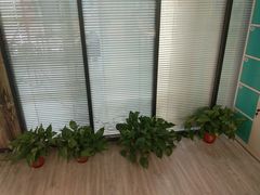 -致青春照相馆·证件照(小寨总部)