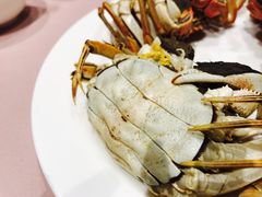 -王宝和酒家(黄浦店)