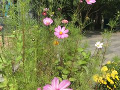 -碓臼峪自然风景区