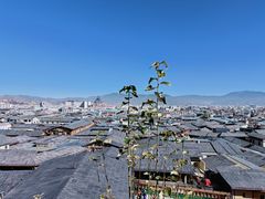 -迪庆藏族自治州博物馆