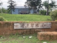 -鲁镇