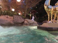 -七彩云南古滇温泉山庄