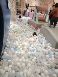 -MELAND CLUB亲子乐园•派对(石家庄万象城店)