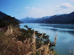 -羚羊峡古栈道森林公园