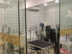 -Pets First伊珊娜洗护·精致美容·家庭式寄养(新会路店)