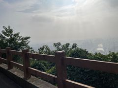 -杭州半山国家森林公园